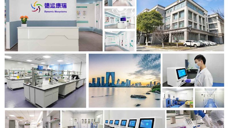 CDMO服务收费标准：揭秘医药研发背后的成本构成