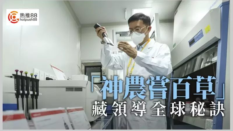CRO优化效果评估：案例分析揭示关键指标