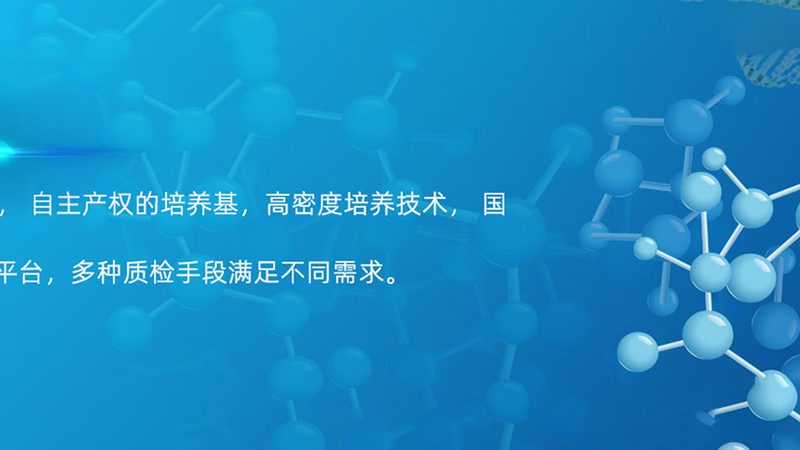 抗体产品质检报告：如何解读与查询