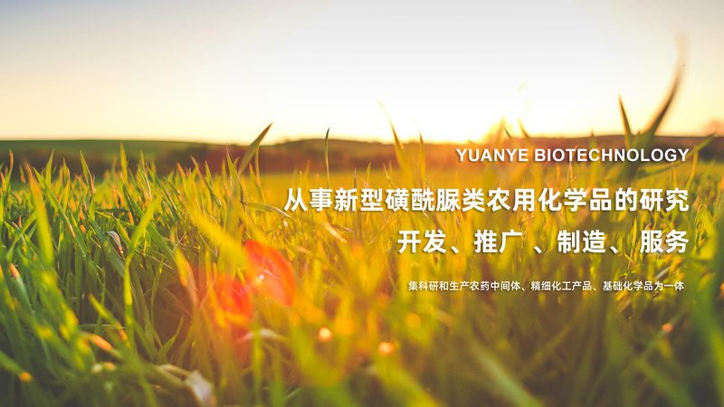 预防性生物制品注册申报流程：关键步骤与要点解析