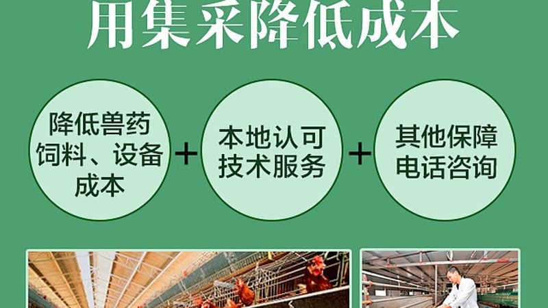 生物医药外包加盟，如何选择可靠合作伙伴？**
