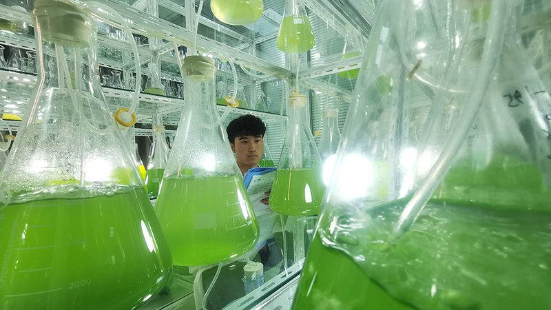 游泳基因检测：揭秘游泳运动员的基因奥秘